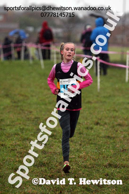 Girls under-13s North Eastern Cross Country, Sedgefield, County Durham. Photo: David T. Hewitson/Sports for All Pics